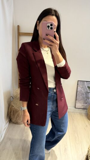 BLAZER GEMINIS