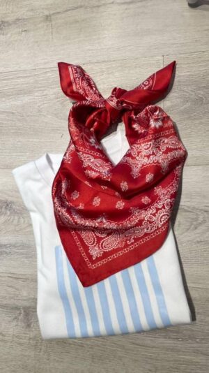 PAÑUELO RED
