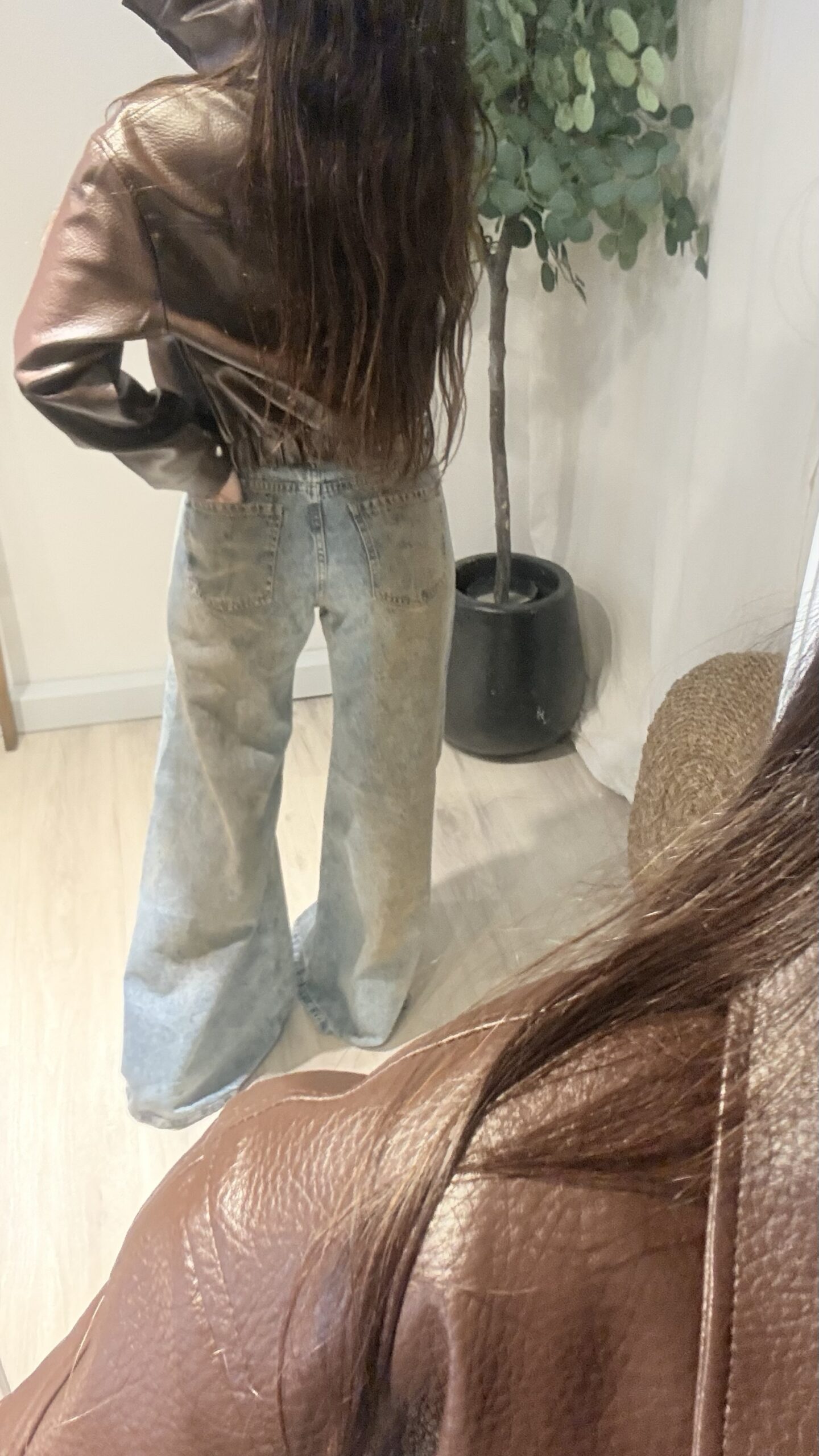 WIDE REPTIL WAGGA - Imagen 3